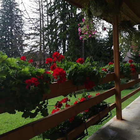 Cabana Fantanita Cu Brazi Poiana Brasov Exterior photo