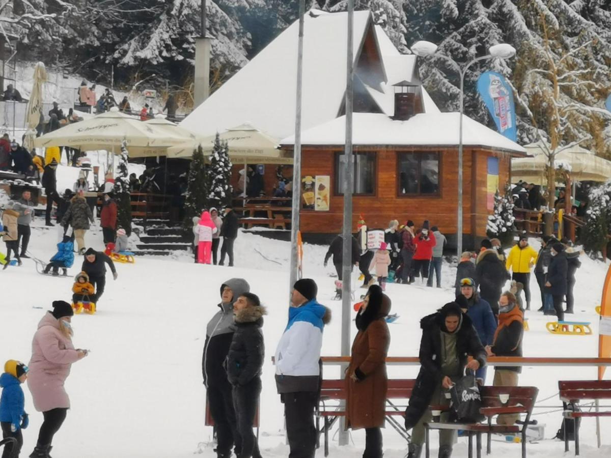 Cabana Fantanita Cu Brazi Poiana Brasov Exterior photo