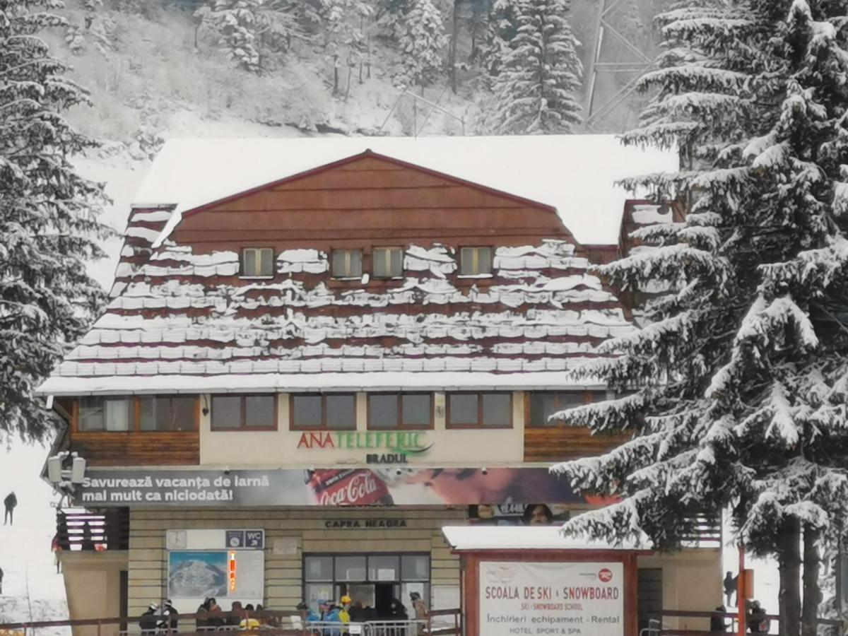 Cabana Fantanita Cu Brazi Poiana Brasov Exterior photo