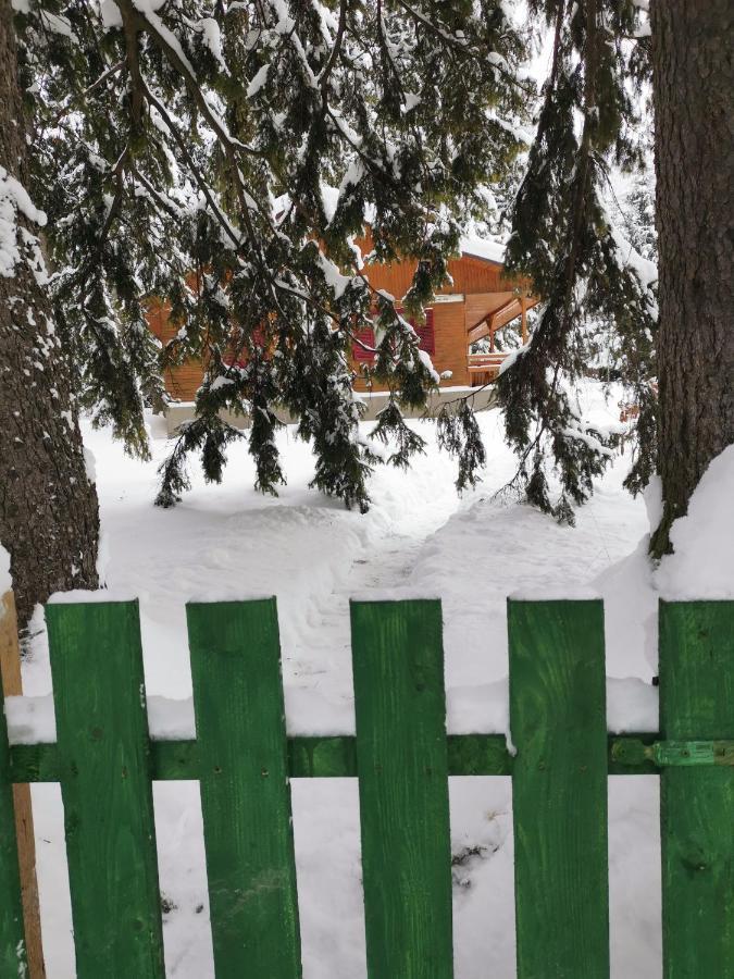Cabana Fantanita Cu Brazi Poiana Brasov Exterior photo