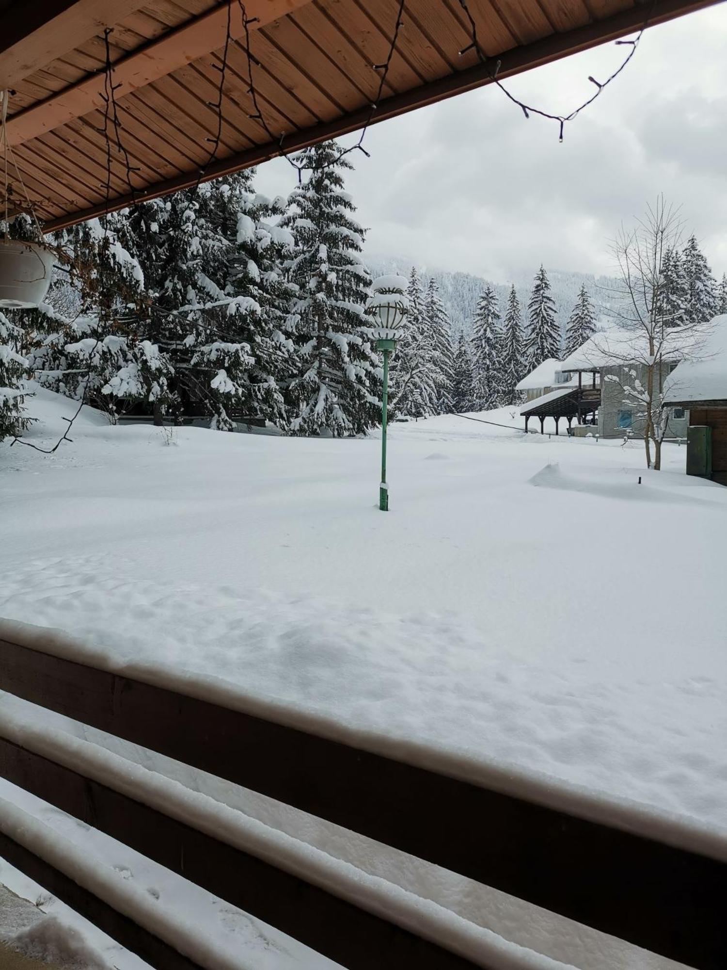 Cabana Fantanita Cu Brazi Poiana Brasov Exterior photo