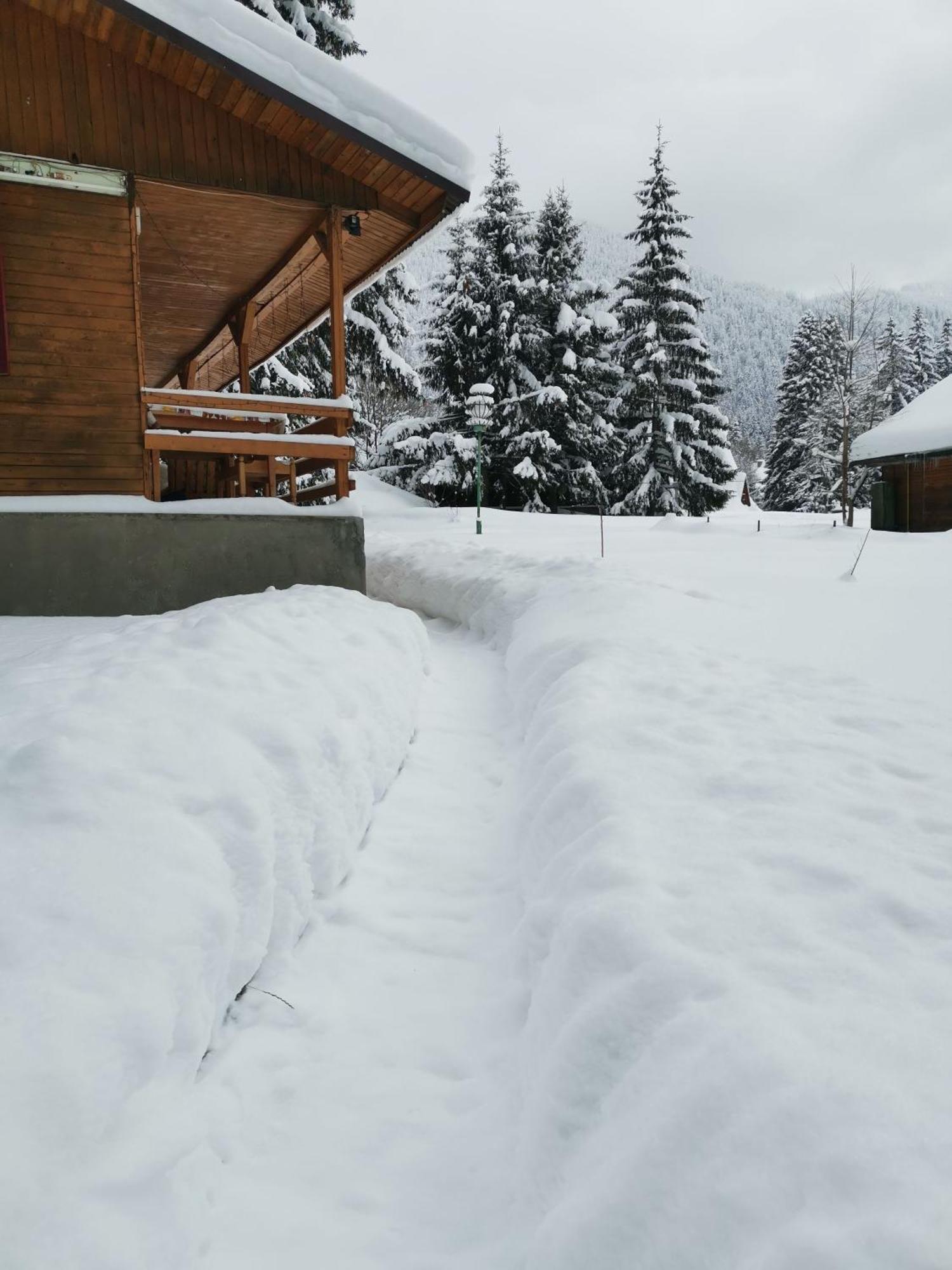 Cabana Fantanita Cu Brazi Poiana Brasov Exterior photo