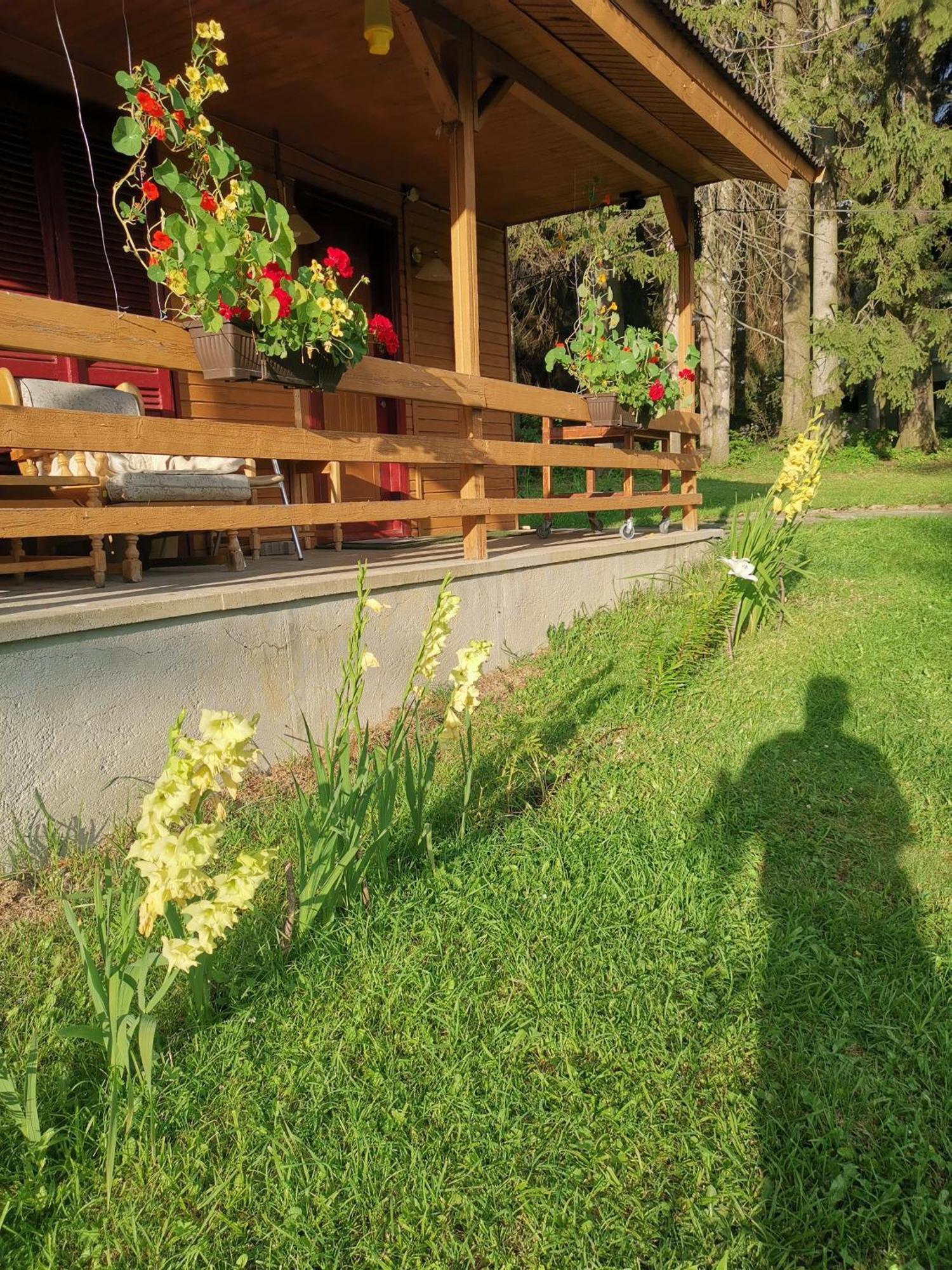 Cabana Fantanita Cu Brazi Poiana Brasov Exterior photo