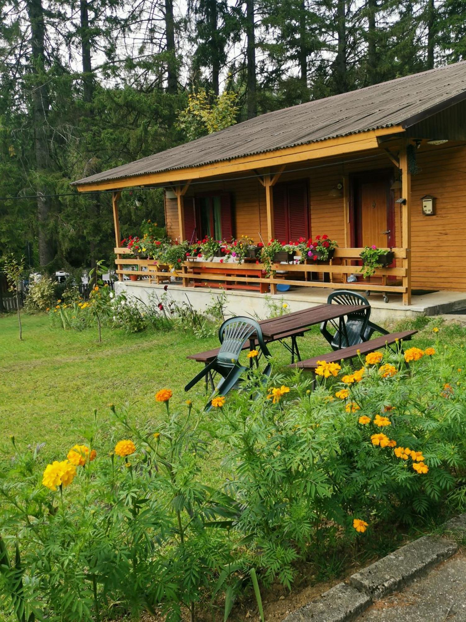 Cabana Fantanita Cu Brazi Poiana Brasov Exterior photo